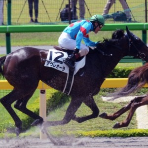 3歳未勝利