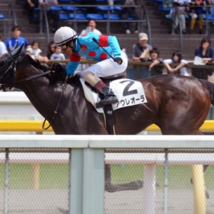 3歳未勝利