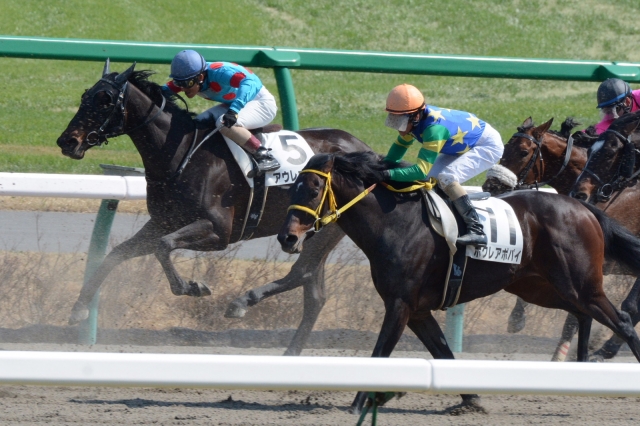 4歳上500万下 アウレオーラ