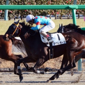 4歳上500万下