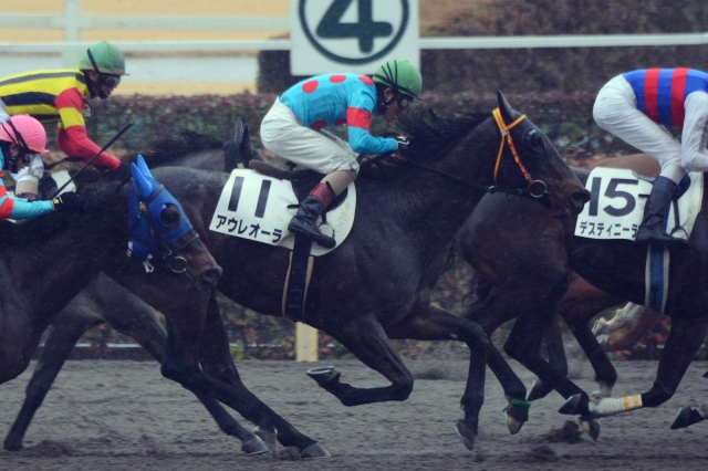 4歳上500万下 アウレオーラ