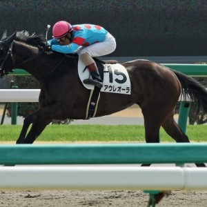 3歳未勝利