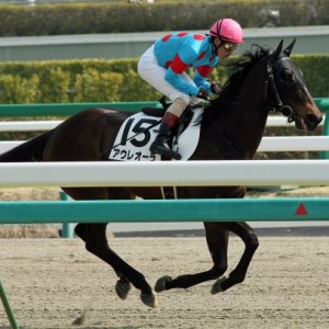 三歳未勝利　返し馬