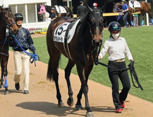 三歳未勝利 アウレオーラ