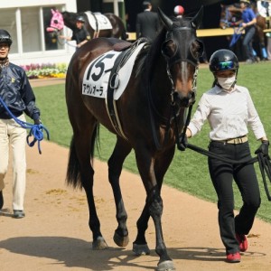 三歳未勝利
