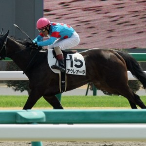 三歳未勝利