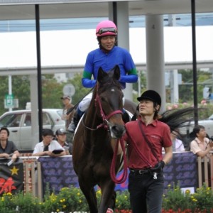 新馬戦パドック（函館競馬場7/15）