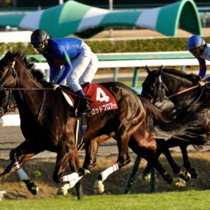 初めての重賞挑戦