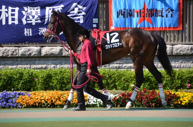 2013.04.28　スイートピーＳ ゴッドフロアー