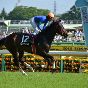 2013.04.28　スイートピーＳ