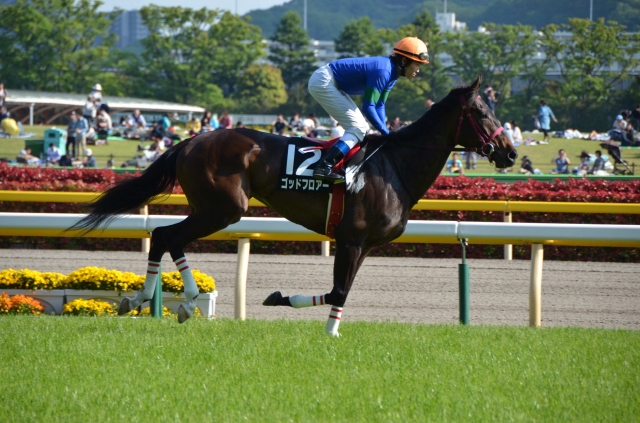 2013.04.28　スイートピーＳ ゴッドフロアー