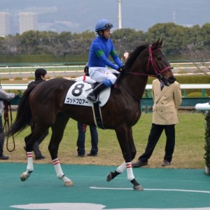 2012.12.15　阪神競馬場　未勝利戦