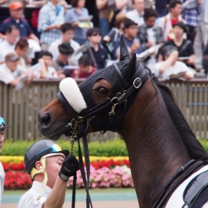 2013/06/01 東京７Ｒ　３歳上５００万下