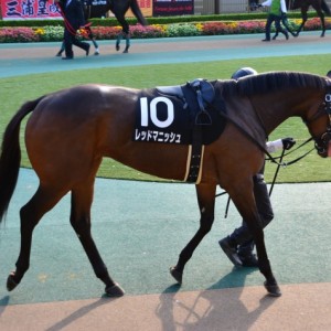 東京９Ｒ　鷹巣山特別