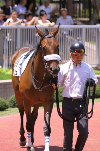 2012.7.21 デビュー戦 レッドマニッシュ