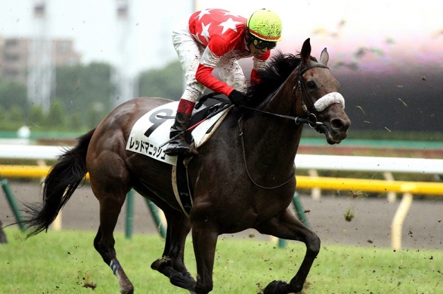 2014.6.28 東京12R 3歳上500万 レッドマニッシュ