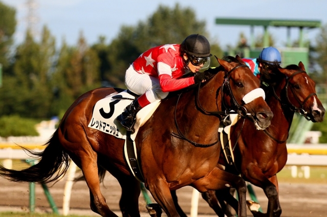 2014.9.20 新潟12R 優勝！ レッドマニッシュ