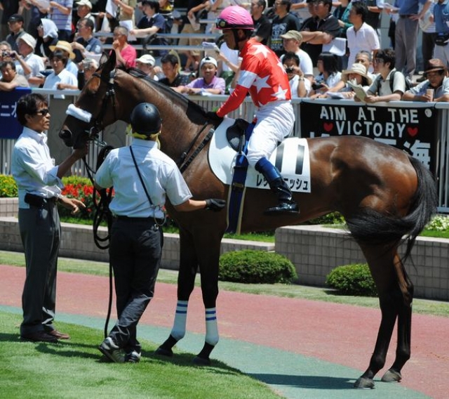 7/21 新潟芝1600m　2歳新馬戦　パドック レッドマニッシュ