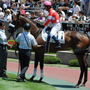 7/21 新潟芝1600m　2歳新馬戦　パドック