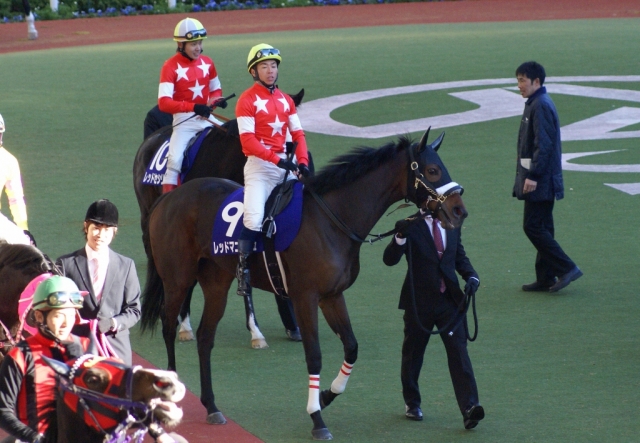 2012/12/09 阪神ＪＦ レッドマニッシュ