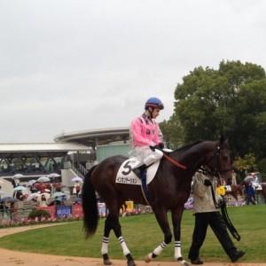 2012.11.11　京都２R　2歳未勝利