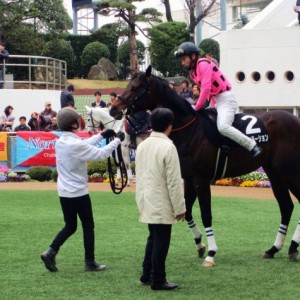 2013.03.31　中山10R　伏竜ステークス