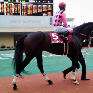 2017.01.22　中京11R　ダ1900　東海Ｓ