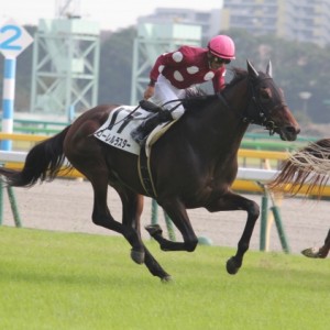 2014年10月26日（日） 3歳以上500万円以下