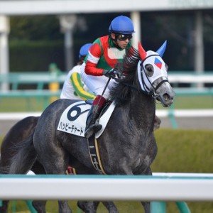 ２走目を終えて・・