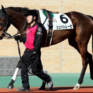 2013.1.27 新馬戦 パドック