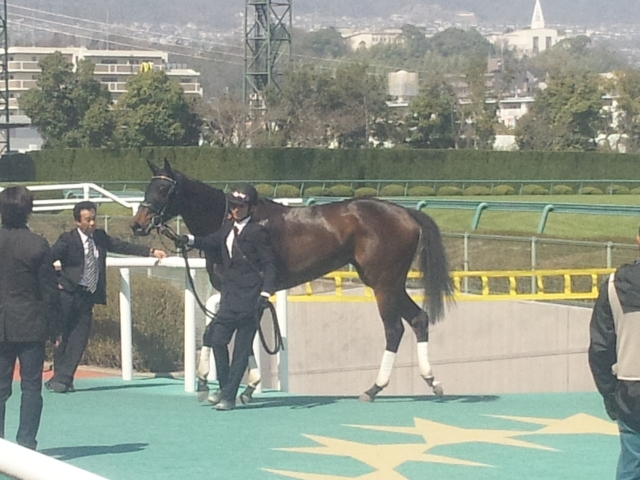 新馬戦/表彰式２ レッドセイリング