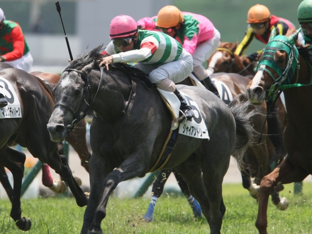 5/25 500万下　レース ジャイアントリープ