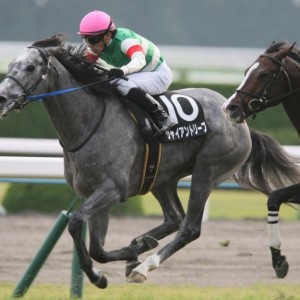 近江特別レース３