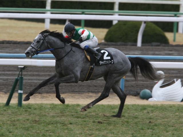 琵琶湖特別　レース2 ジャイアントリープ