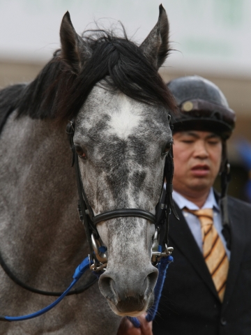 琵琶湖特別　パドック ジャイアントリープ