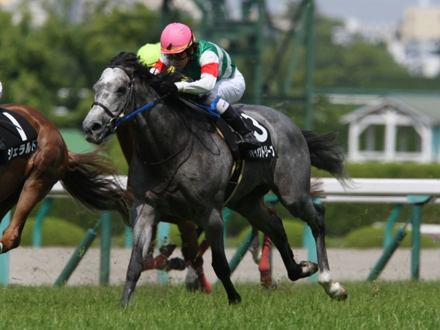 花のみち特別　レース3 ジャイアントリープ