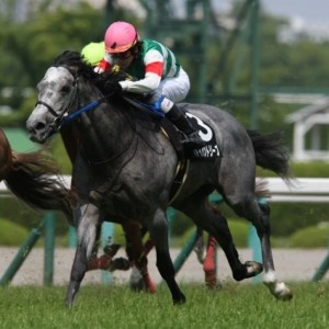 花のみち特別　レース3