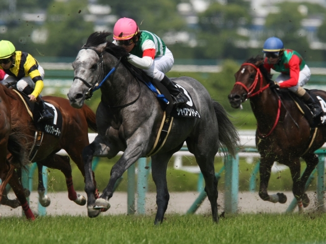 花のみち特別　レース1 ジャイアントリープ