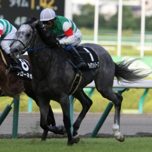 西宮特別レース1