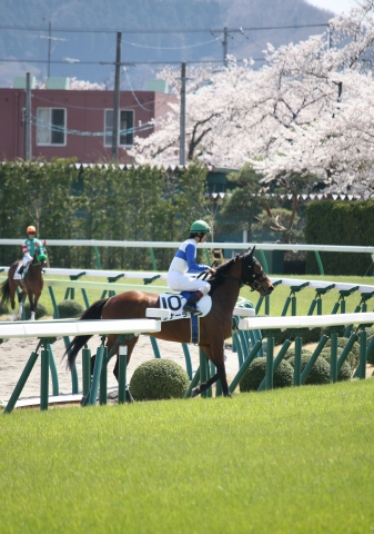 ４歳上500万（牝）　 シナーラ