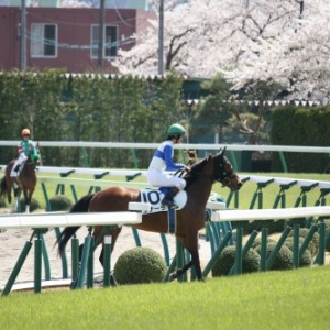 ４歳上500万（牝）　