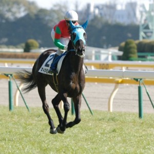 ３歳500万下＠府中