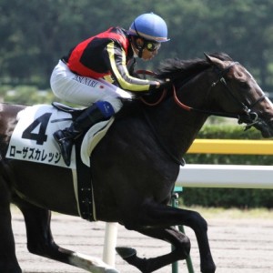 新馬戦　レース