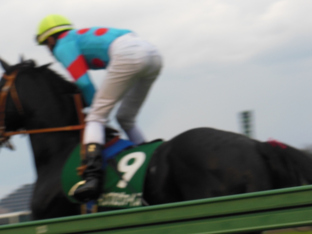 ダービー卿チャレンジトロフィー返し馬 インプロヴァイズ