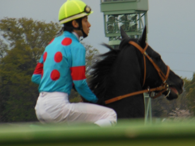 ダービー卿チャレンジトロフィー本場馬入場 インプロヴァイズ