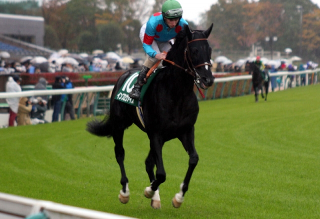 東京スポーツ杯2歳S インプロヴァイズ