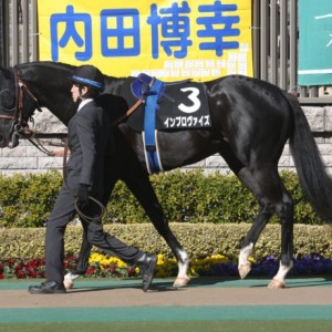セントポーリア賞パドック