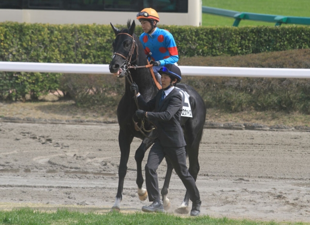 中山･3歳500万以下1600m インプロヴァイズ