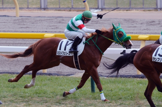 3歳未勝利 ミストフェリーズ