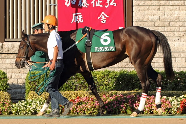 2012年11月3日　アルテミスステークス テンシンランマン